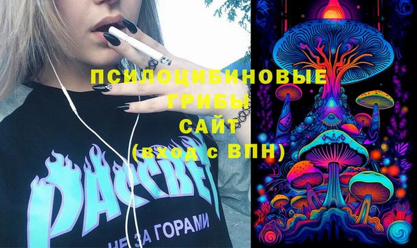 крисы Касимов
