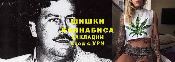 крисы Касимов